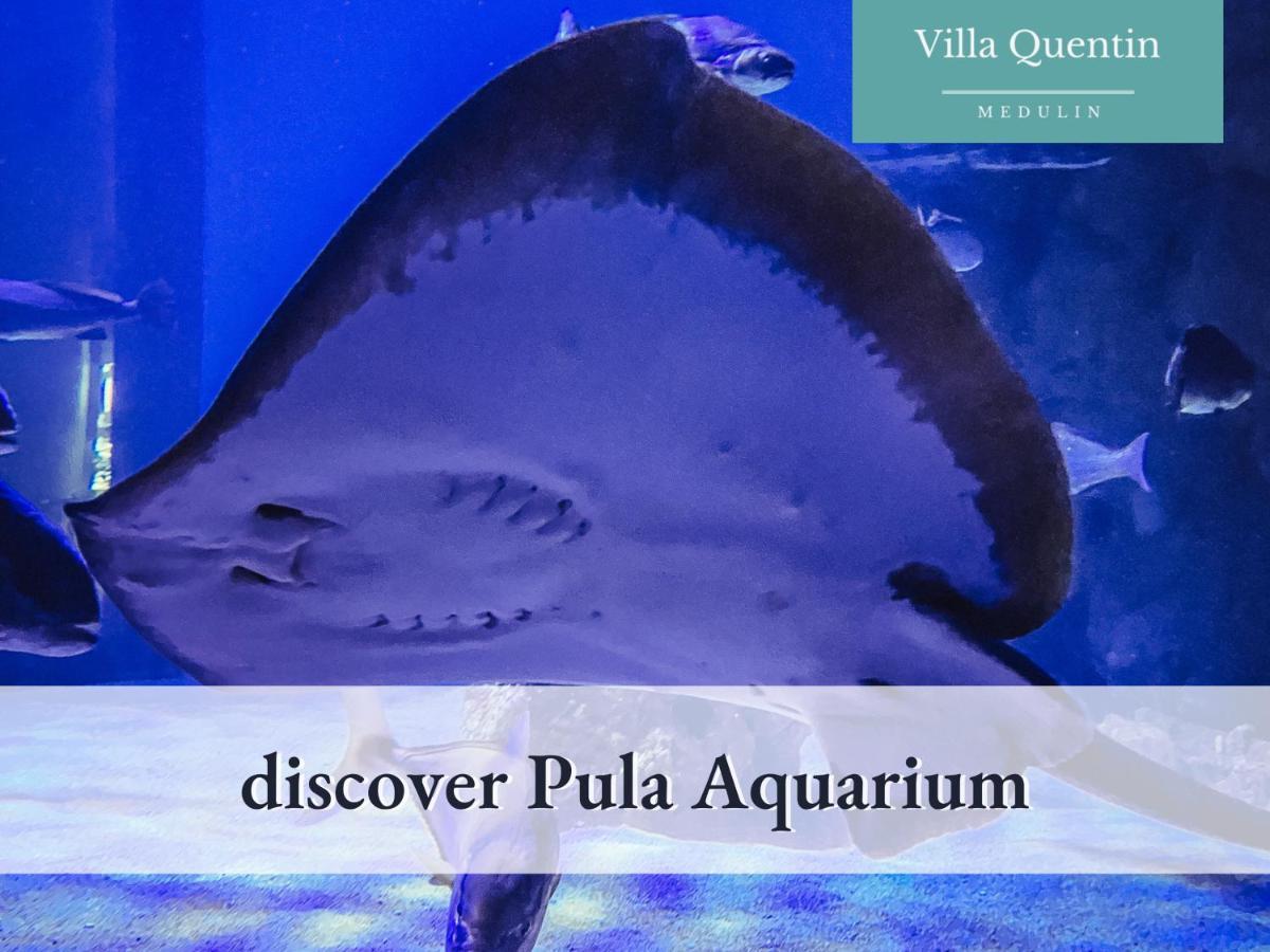 מדולין Villa Quentin - Quiet Place Close To Beach מראה חיצוני תמונה